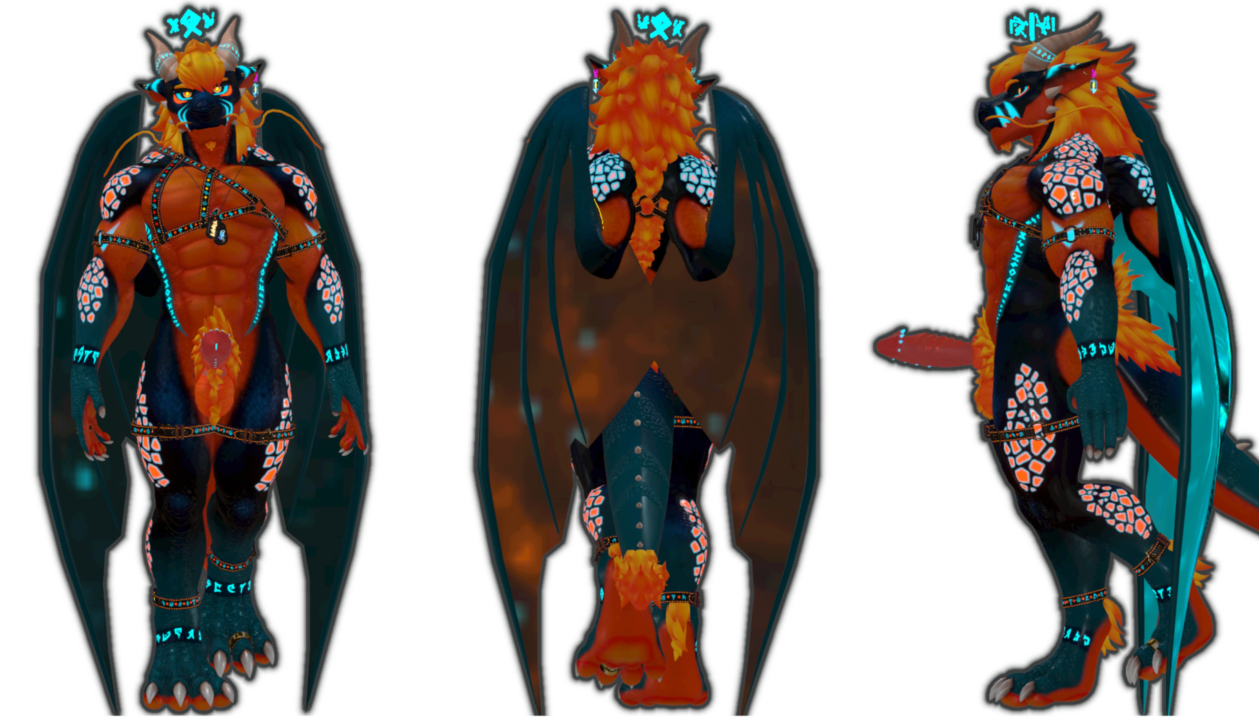 Anatomy Erect NSFW